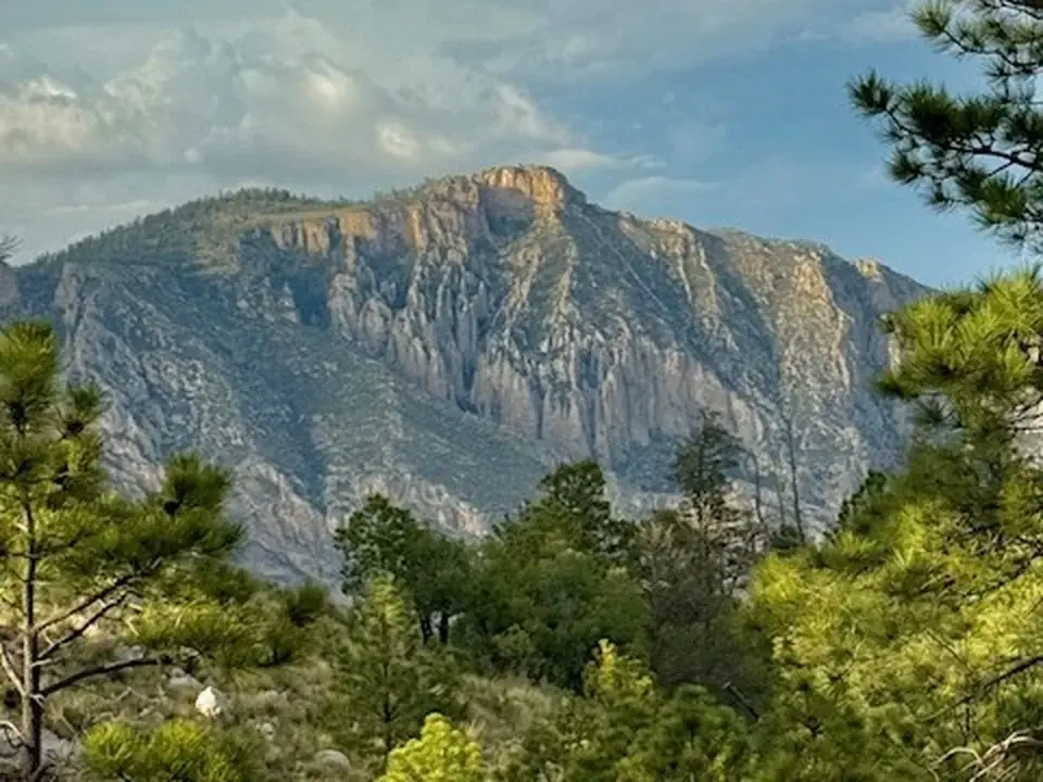 Limestone cliffs of the Guadalupe Mountains framed by pine trees