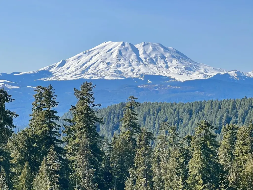Snow-covered Mt. St. Helens above layers of evergreen forest