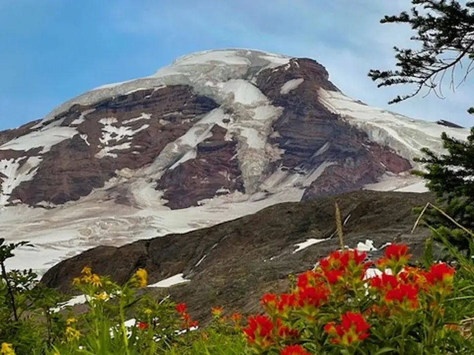 Snow-covered Mt. Baker with red paintbrush wildflowers in the foreground